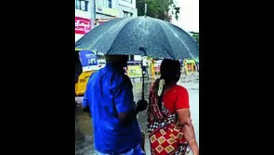 It may rain in Nagpur till January 29