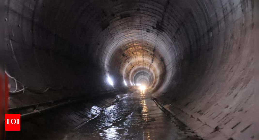 Light at the End of Tunnel-II at Poola Subbaiah Veligonda Project in ...