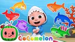 English Kids Poem: Nursery Song in English 'Baby Shark - Learns Colors'