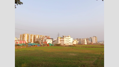Doon Basmati Rice Cultivation Declines by 62% in 5 Years | Dehradun ...