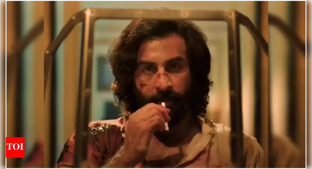 Animal: Ranbir Kapoor starrer to release on OTT with extended runtime ...