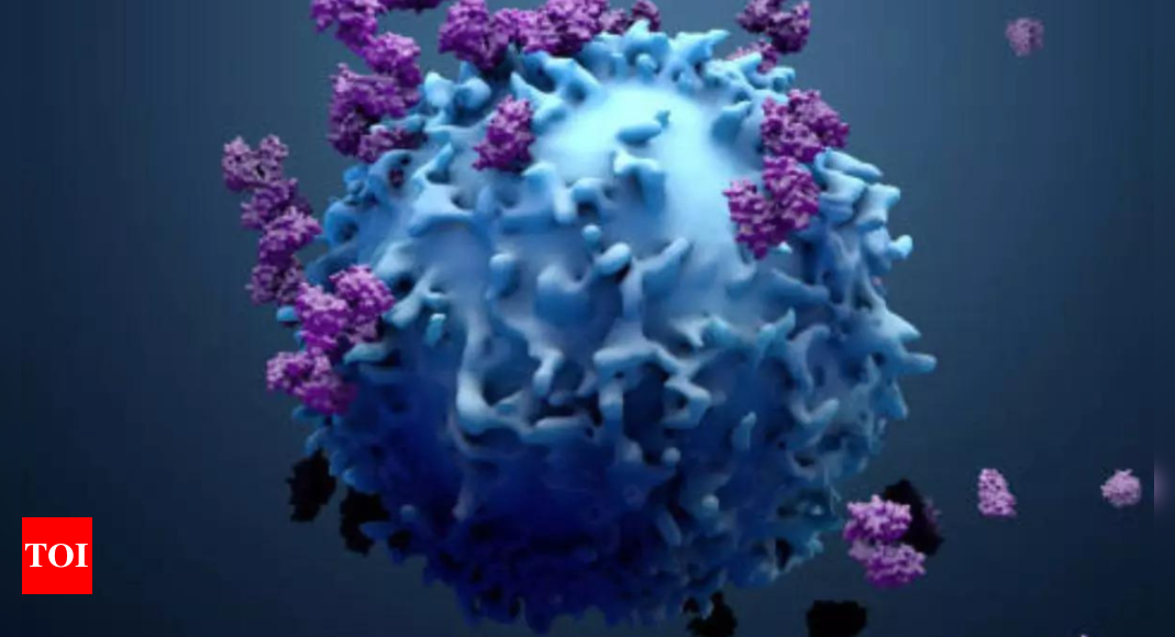 L'immunothérapie élimine les cellules sénescentes, améliorant ainsi l'efficacité de la chimiothérapie |