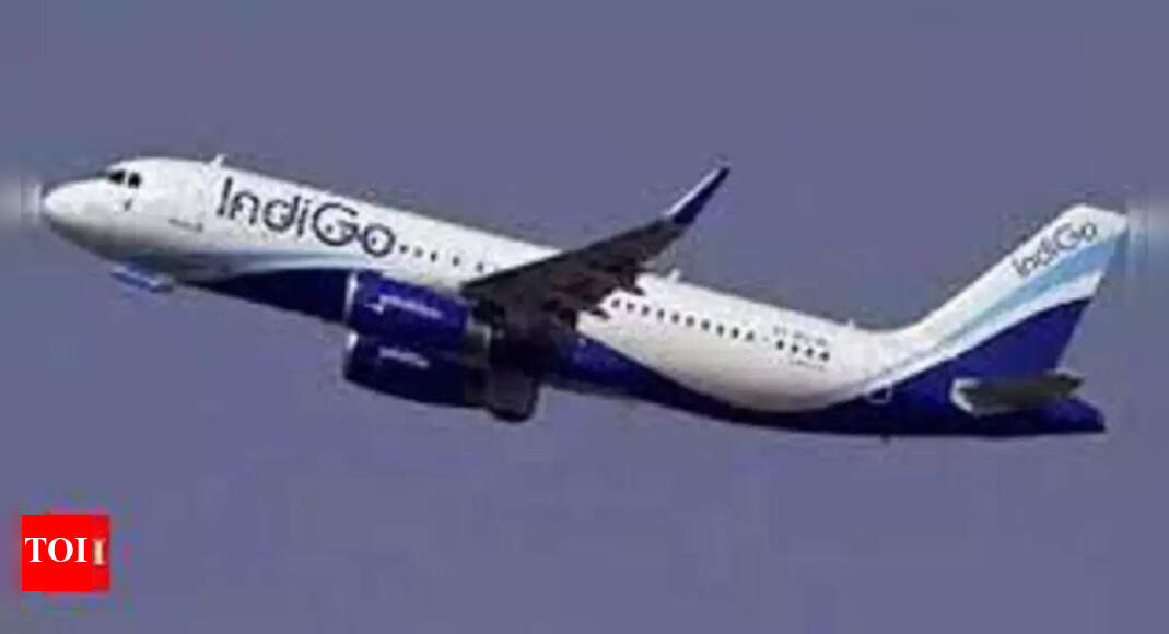 IndiGo Partners with Altered for Water Conservation on Flights | India Business News – Times of India