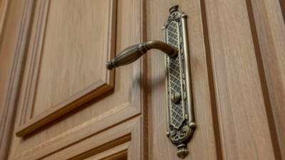Designer Door Handles For The Main Door Of The House