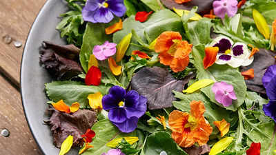 Visual appearance of the five edible flowers