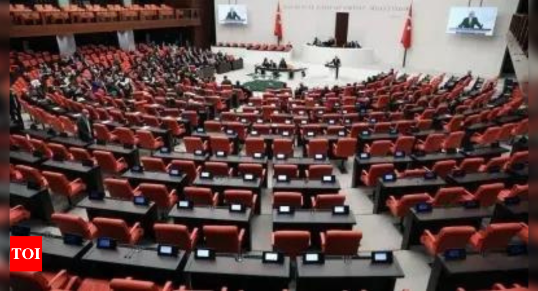 Le Parlement turc approuve la candidature de la Suède à l'OTAN |  Dernières nouvelles |  Nouvelles du monde