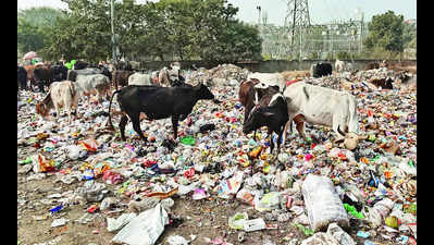 ‘₹80cr not paid’: Ecogreen on strike, stops waste collection