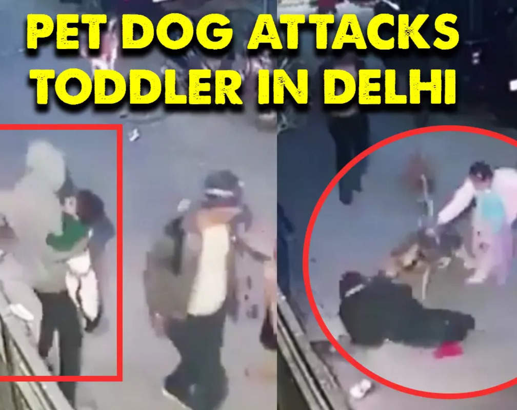 
Shocking! Dog attacks two-yr-old in Delhi's Vishwas Nagar, video goes viral
