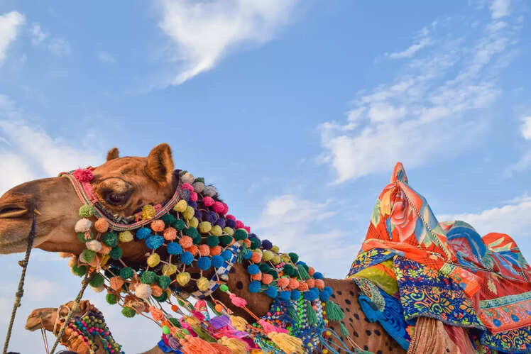 Kutch, Gujarat