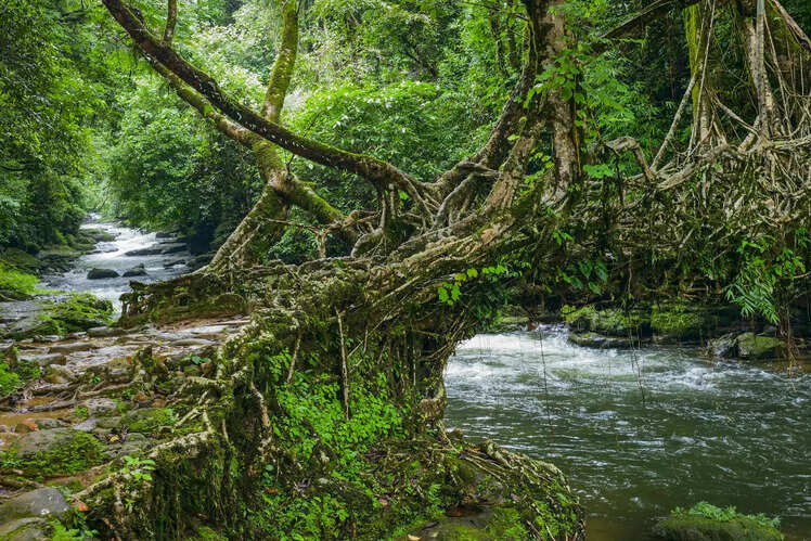 Mawlynnong, Meghalaya