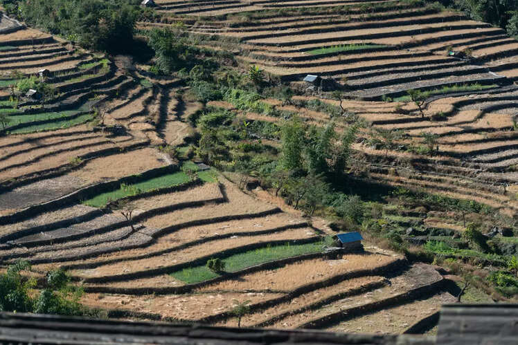 Khonoma, Nagaland