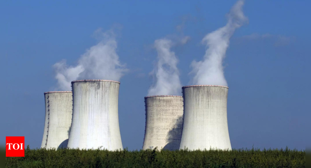 Ukraine to Start Building 4 New Nuclear Reactors in 2022 | World News – Times of India