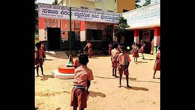 2 panels formed to develop govt schools with CSR funds