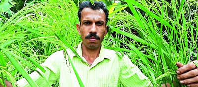 Paddy Conservationist: Paddy conservationist Beleri wins Padma Shri ...