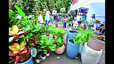 Gardening enthusiasts throng 4-day annual Empress Garden flower show