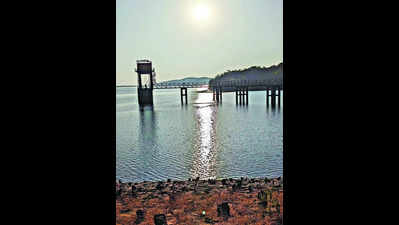 Adani Energy drops plan to use Patgaon dam water