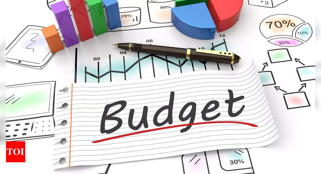 Union Budget 2024: Education Sector Eyes Enhanced Budget, Digital Advancements