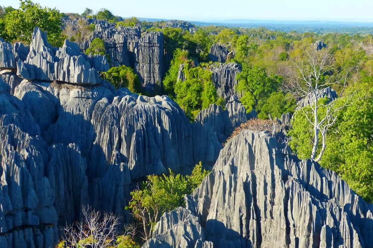 Madagascar