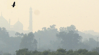 Delhi AQI turns severe again, no ban on construction, polluting cars for now