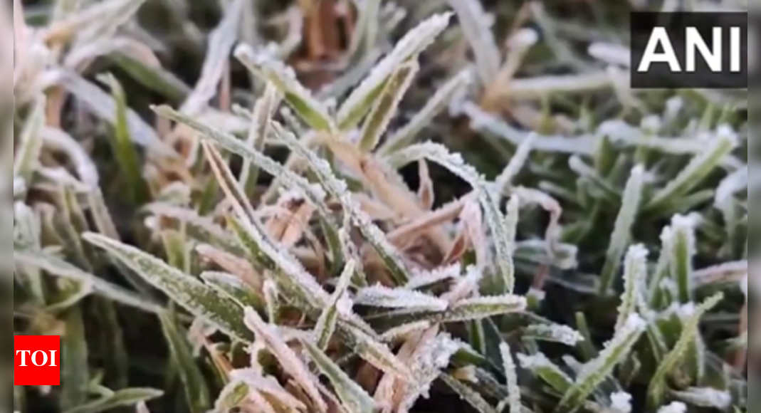 Tamil Nadu's Ooty Turns into Iceland as Minimum Temperature Drops ...