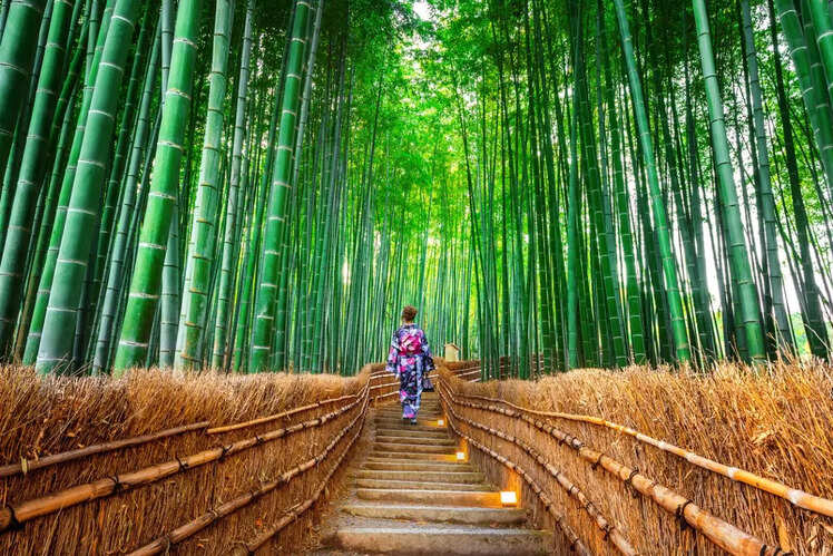 Japan: Average IQ = 106.68