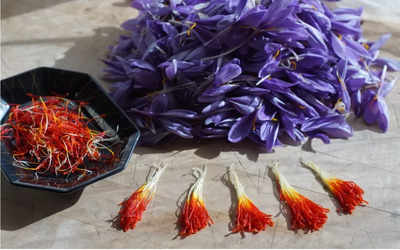 Get Spotless Beauty With Saffron Infused Skincare