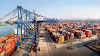 Adani group to continue container operations at Krishnapatnam port