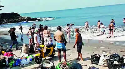 Video of Tourists Cleaning Beach Goes Viral - Blot on City's Image