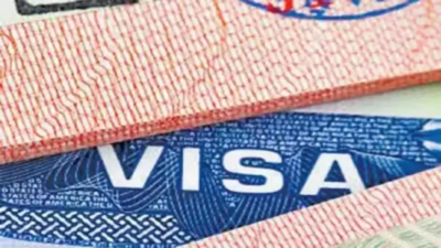14 lakh: US embassy processed highest-ever visa application in India last year