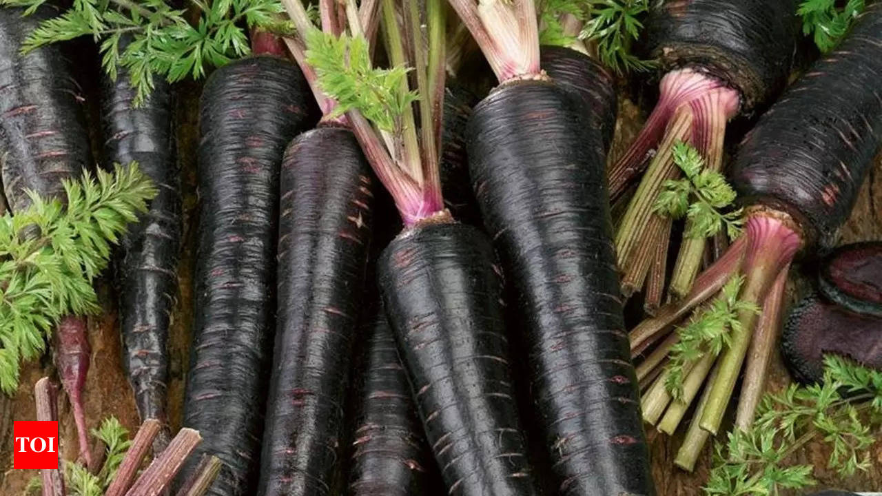 Black Carrots Benefits Why one must consume black carrots in