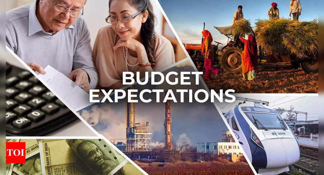 Budget 2024 Expectations Highlights Tax slabs, new tax regime, jobs