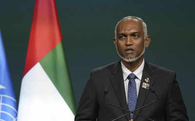 'Seek forgiveness from PM Modi ...': Maldives leader's advice to President Muizzu