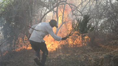 Adopt remote sensing technology to locate forest fire locations: Karnataka forest minister