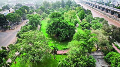 Punjab bags the Best Green State Award in CSE’ Green Schools Programme ...