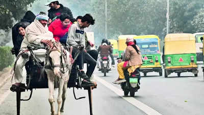 Delhi's Coldest January in 21 Years: Foggy and Frigid Weather
