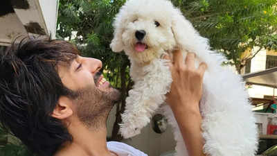 Kartik Aaryan's birthday wish for pet dog Katori is the cutest thing you will see on the internet today, netizens cannot stop gushing - WATCH video
