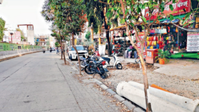 Citizens seethe as PMC plans to cut 300 trees in three areas