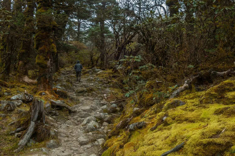 Hiking trails and viewpoints