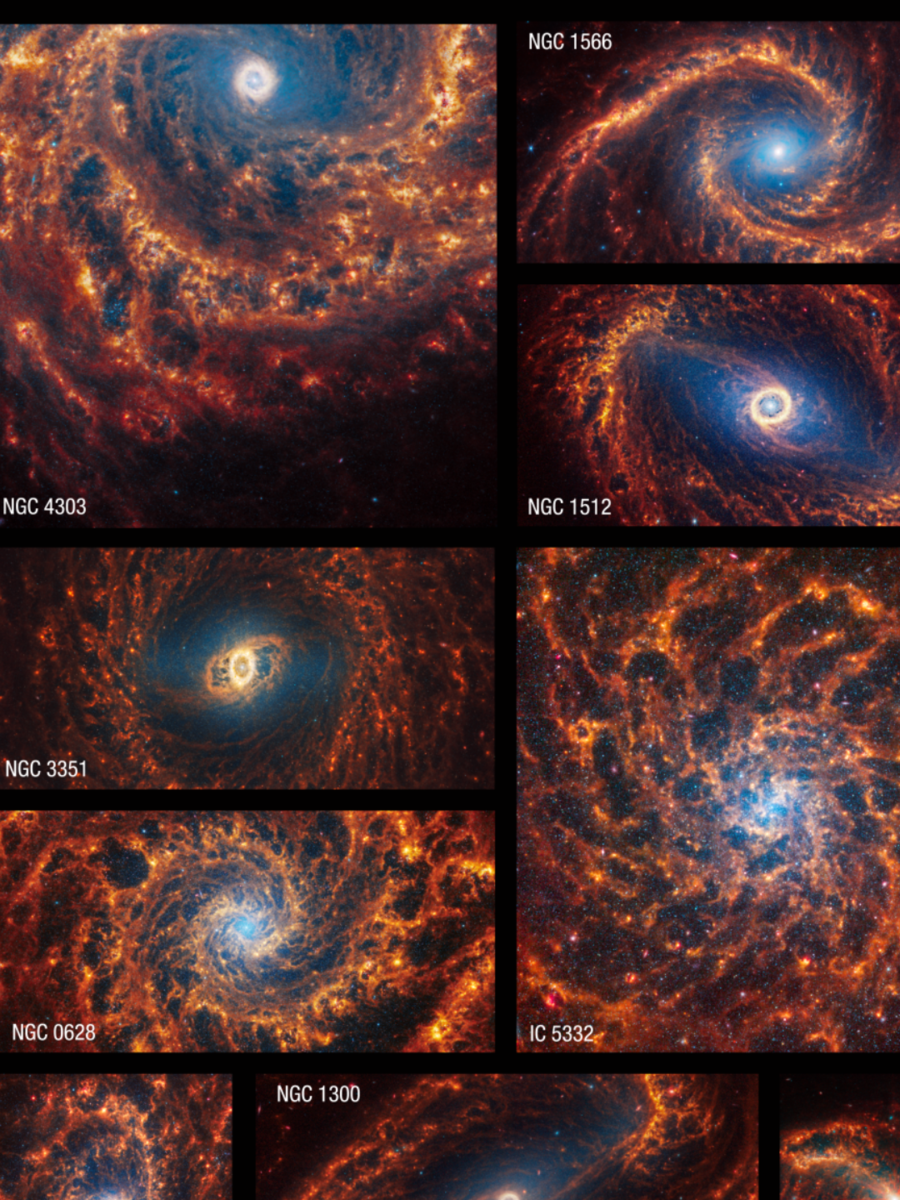 NASA James Webb Telescope Captures 19 Nearby Spiral Galaxies | Times Now