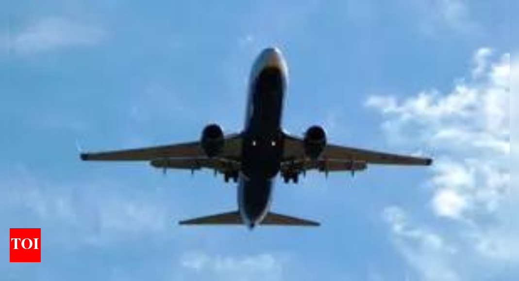 Zooom restarts services with Delhi-Ayodhya flight; plans fleet expansion – Times of India