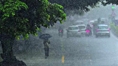Normal to above-normal rainfall likely in northwest India in February: IMD