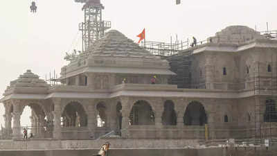 RWA to Aiyars: Leave Delhi colony for Ayodhya remark