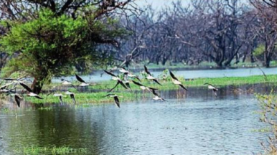 5 more wetlands get Ramsar tag, takes India to 4th position globally