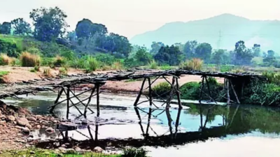 Odisha's Rayagada villagers build bridge in one day
