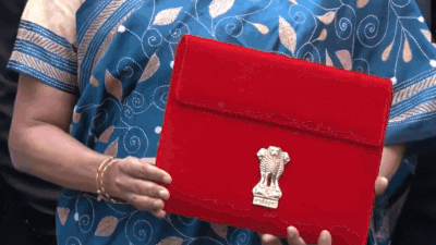 Interim Budget 2024: Finance minister Nirmala Sitharaman carries 'bahi-khata' - a tablet in red pouch to present paperless Budget