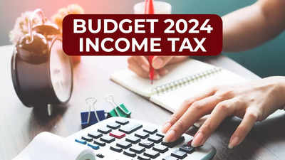 Budget 2024 income tax: Some relief for taxpayers; outstanding personal tax demands up to Rs 25,000 withdrawn; details here