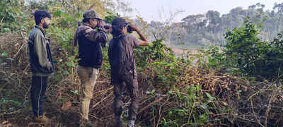 ​Rarely seen migratory birds sighted at bird survey in Wayanad