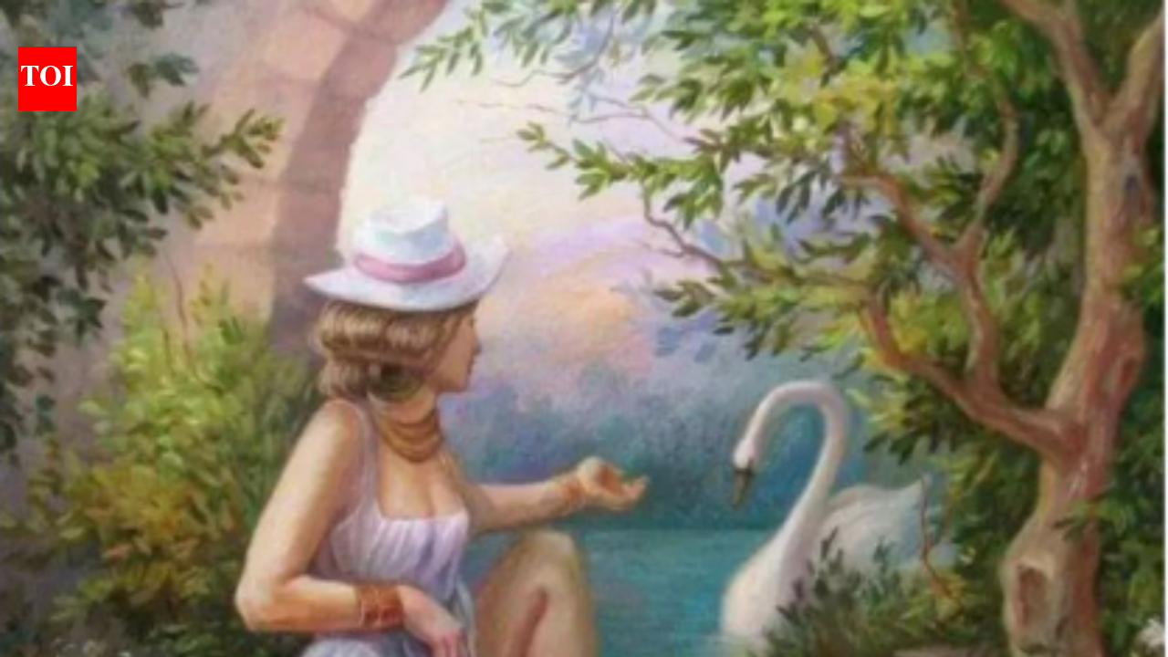 Optical Illusion: Only the sharpest minds can spot the lady’s hidden ...