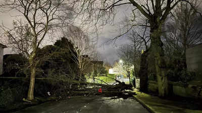 Norway's most powerful storm in over 30 years leaves a trail of destruction