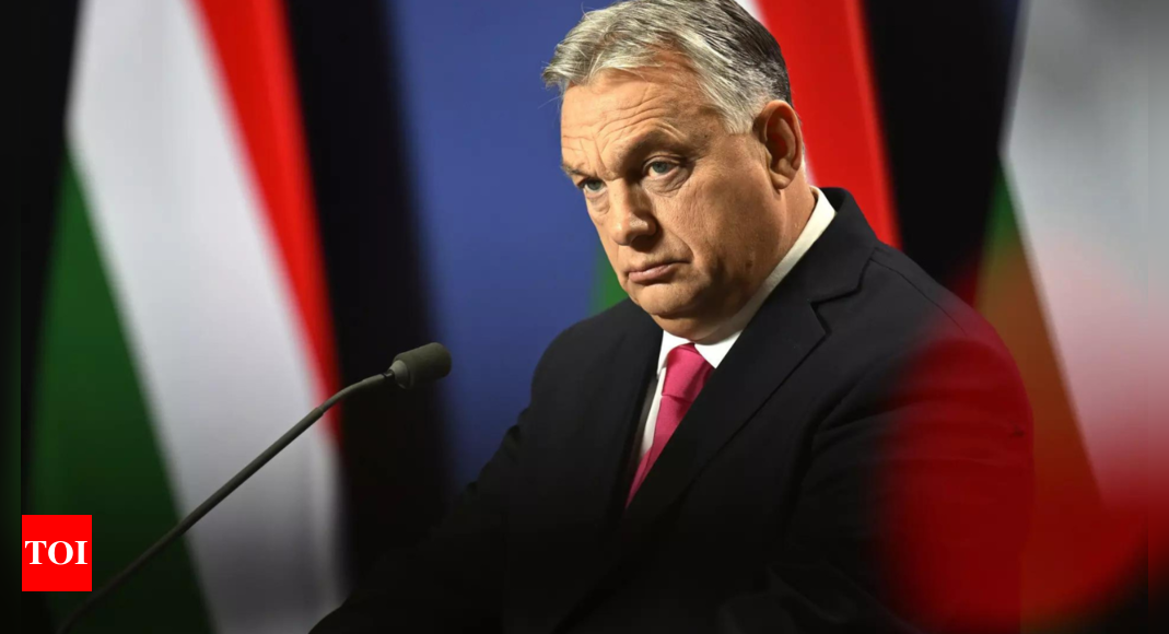 Az amerikai törvényhozók azt akarják, hogy Magyarország támogassa Svédország NATO-tagságát |  Világhíradó